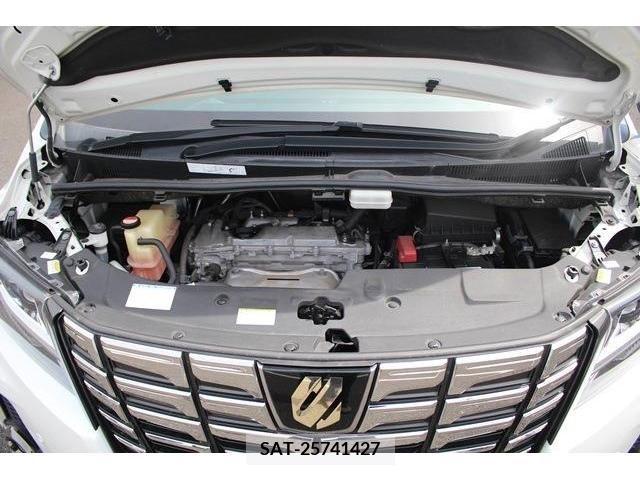 Toyota ALPHARD 2017-02 260294-18