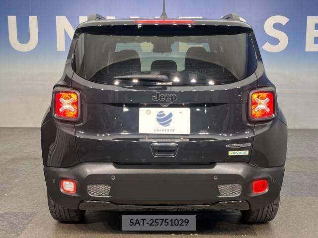Jeep RENEGADE 2019-09 391504-12
