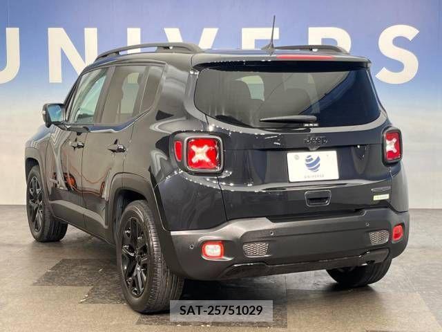Jeep RENEGADE 2019-09 391504-14