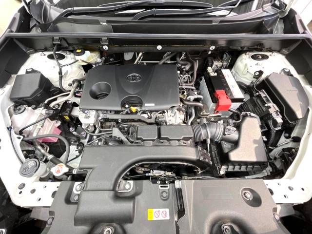 Toyota RAV4 2019-07 17972-18
