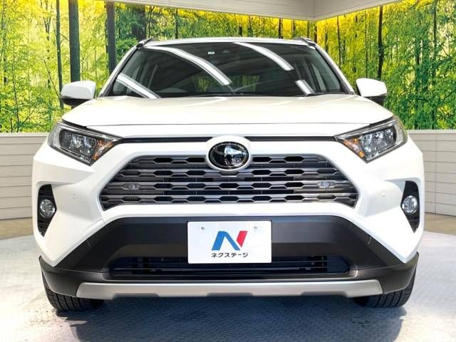 Toyota RAV4 2019-07 17972-14