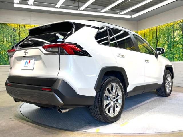 Toyota RAV4 2019-07 17972-17