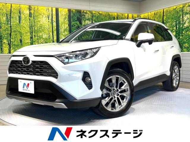 Toyota RAV4 2019-07 17972-0
