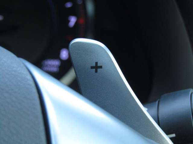 Lexus IS 2010-11 16644-9