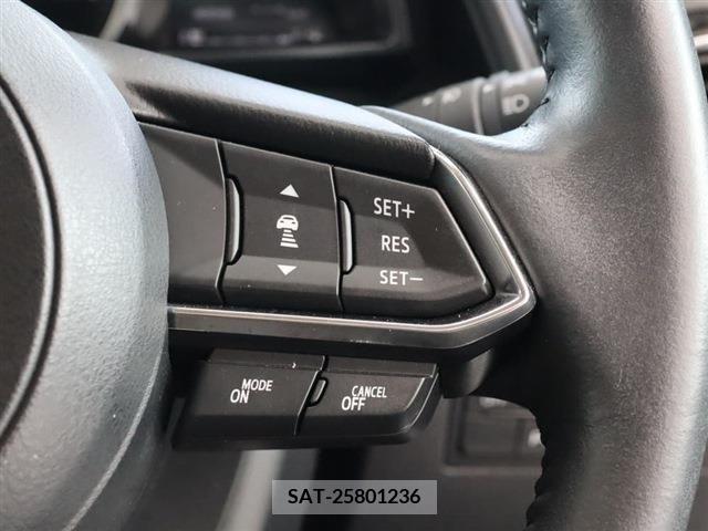 Mazda CX-3 2019-09 342245-18