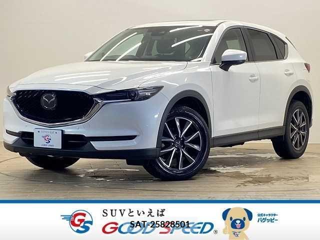 Mazda CX-5 2017-06 295723-0