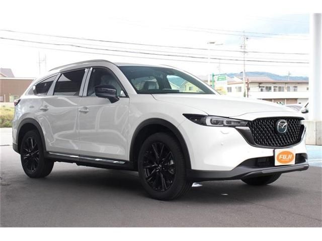 Mazda CX-8 2023-07 11925-2