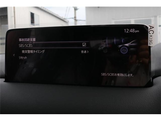 Mazda CX-8 2023-07 11925-8
