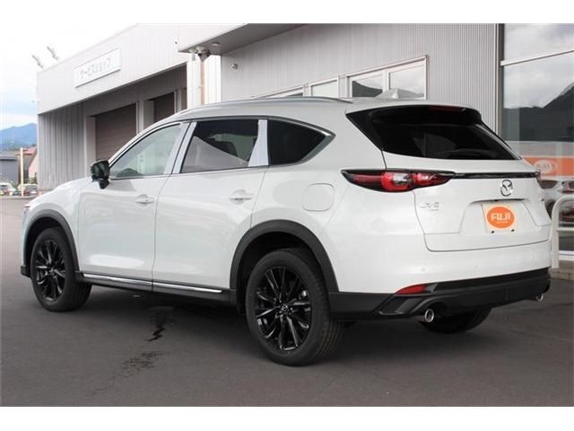 Mazda CX-8 2023-07 11925-1