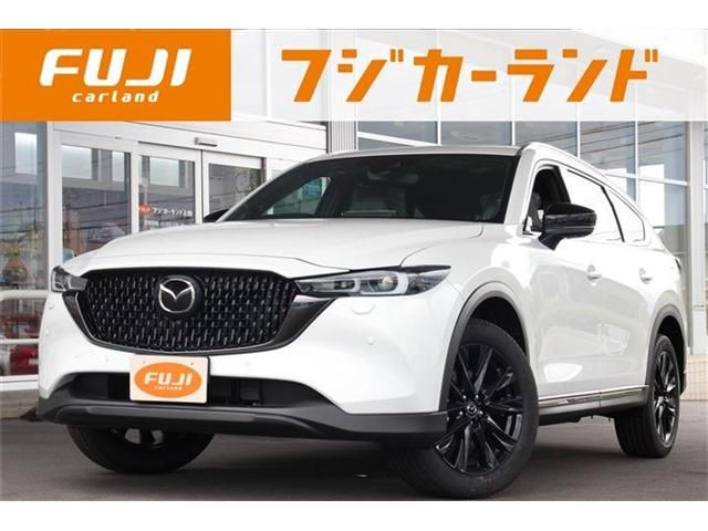 Mazda CX-8 2023-07 11925-0