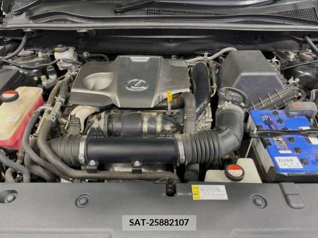Lexus NX 2015-06 334330-18