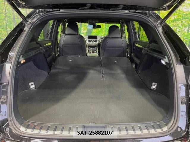 Lexus NX 2015-06 334330-10