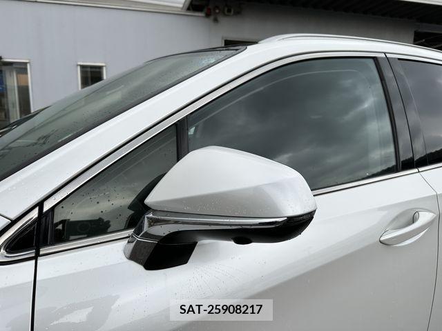 Lexus RX 2017-03 354105-12