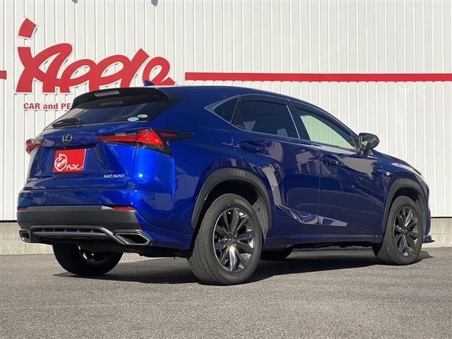 Lexus NX 2018-06 182240-3