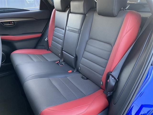 Lexus NX 2018-06 182240-14