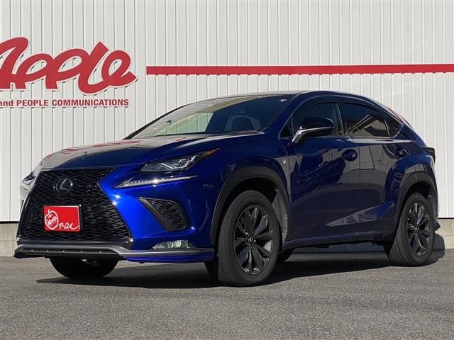 Lexus NX 2018-06 182240-0