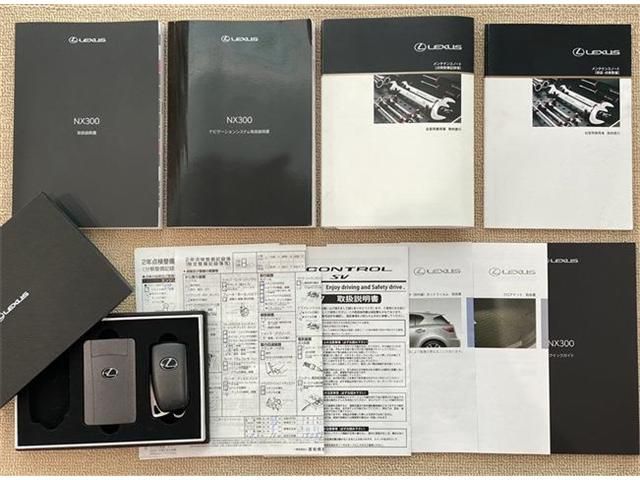 Lexus NX 2018-06 182240-19