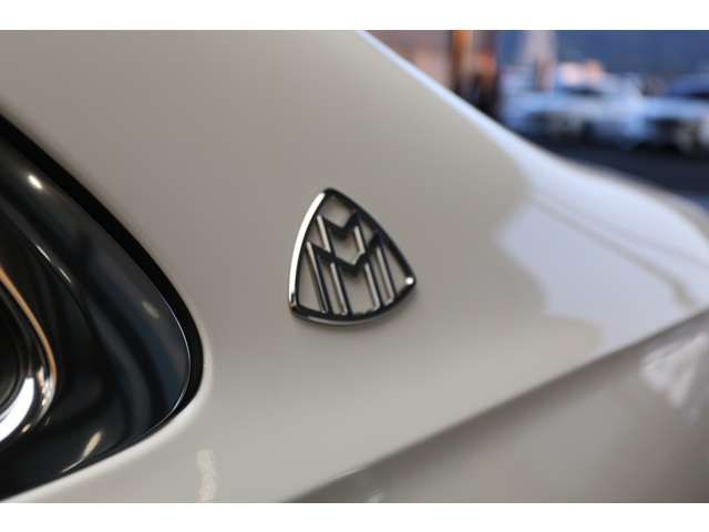 Mercedes Benz S-CLASS 2022-05 12896-8