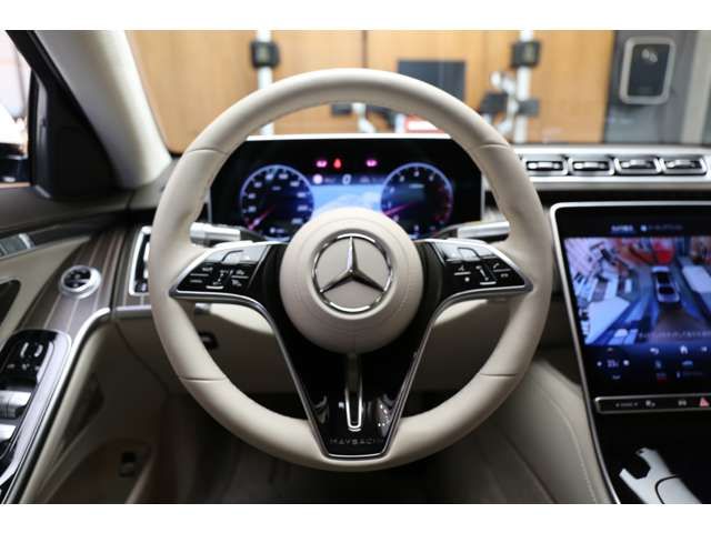Mercedes Benz S-CLASS 2022-05 12896-2