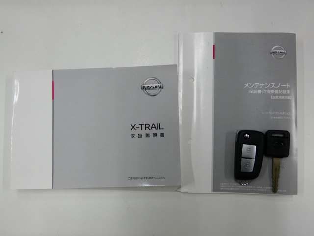 Nissan X-TRAIL 2020-01 19544-29