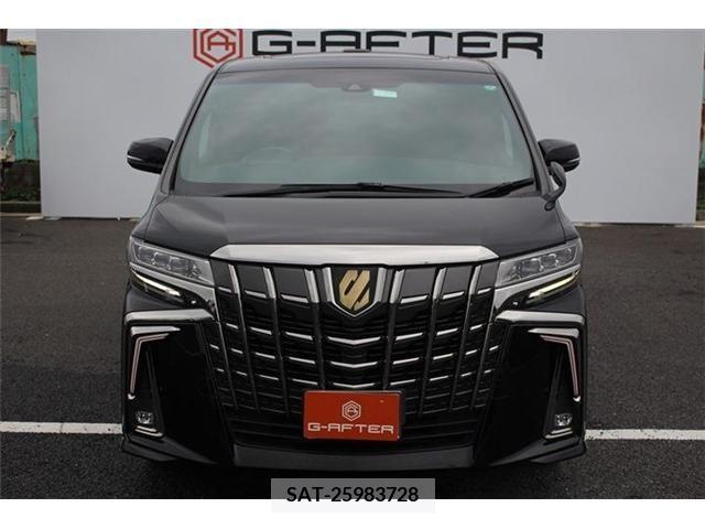 Toyota ALPHARD 2021-02 299618-8