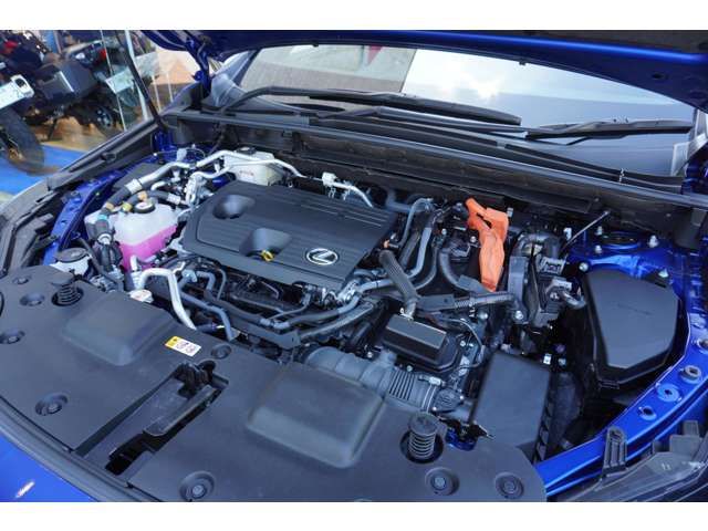 Lexus NX 2022-06 24527-17