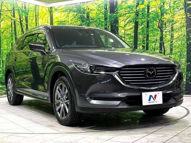 Mazda CX-8 2018-11 196163-17