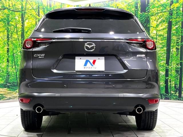 Mazda CX-8 2018-11 196163-16
