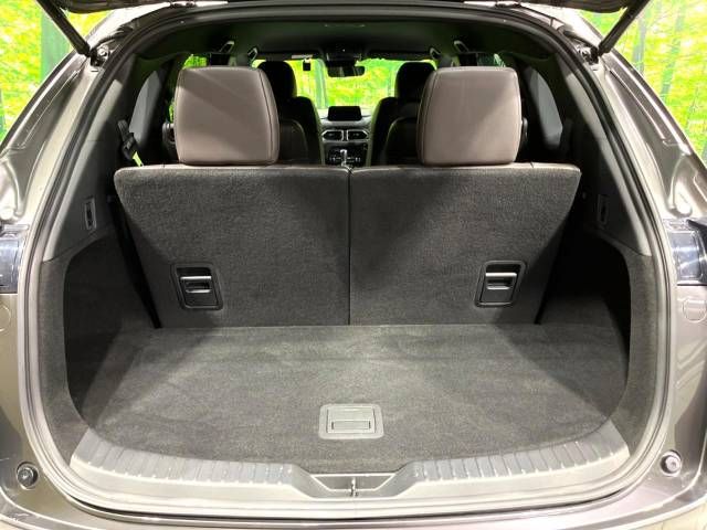 Mazda CX-8 2018-11 196163-11