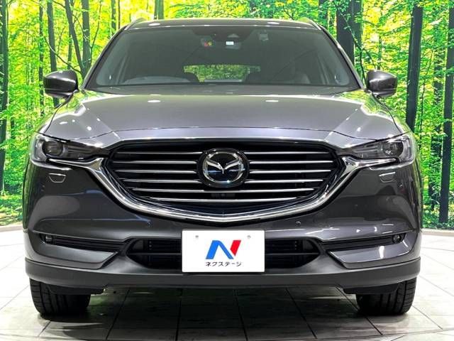 Mazda CX-8 2018-11 196163-15