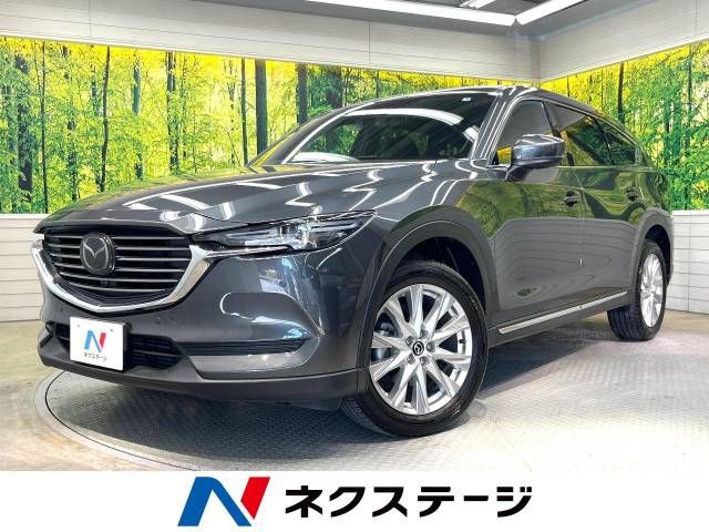 Mazda CX-8 2018-02 14747-0