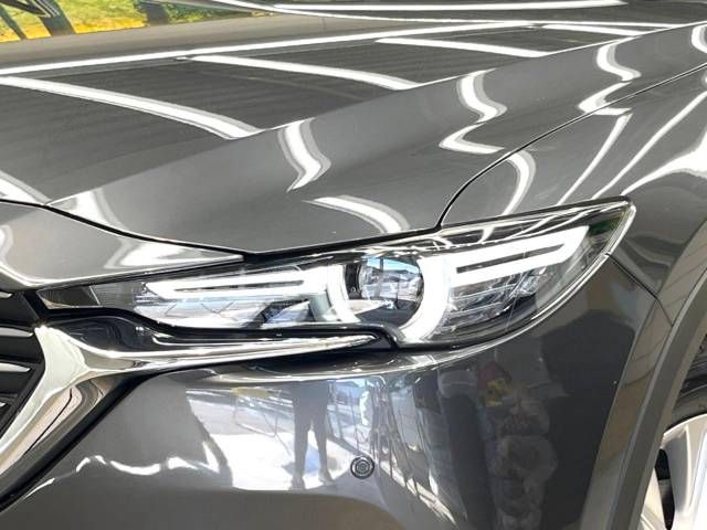 Mazda CX-8 2018-02 14747-13