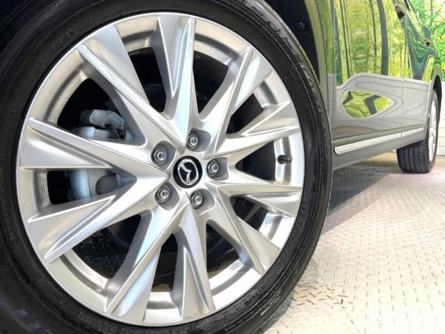 Mazda CX-8 2018-02 14747-14