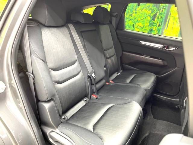 Mazda CX-8 2018-02 14747-9