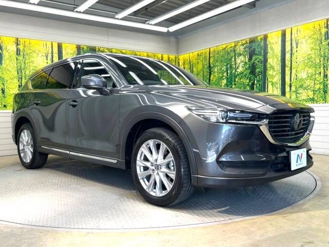 Mazda CX-8 2018-02 14747-17