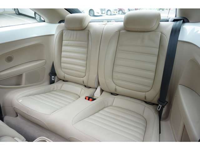 VolksWagen THE BEETLE 2015-04 19566-16