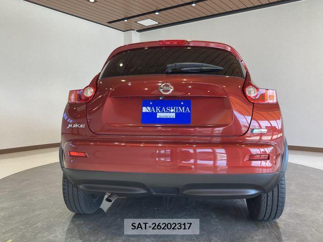 Nissan JUKE 2012-02 250056-3