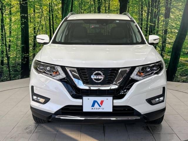 Nissan X-TRAIL 2018-10 19806-14