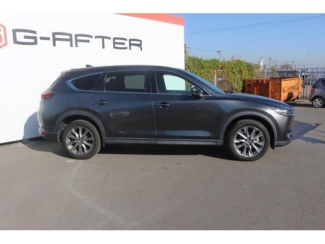 Mazda CX-8 2019-02 182808-2