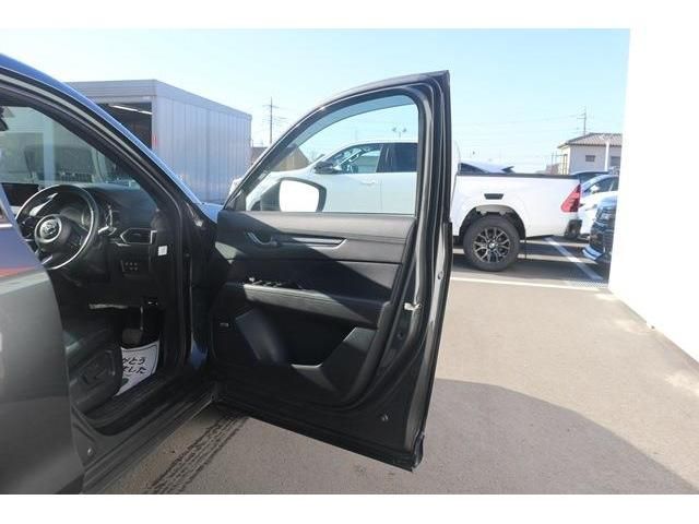 Mazda CX-8 2019-02 182808-8