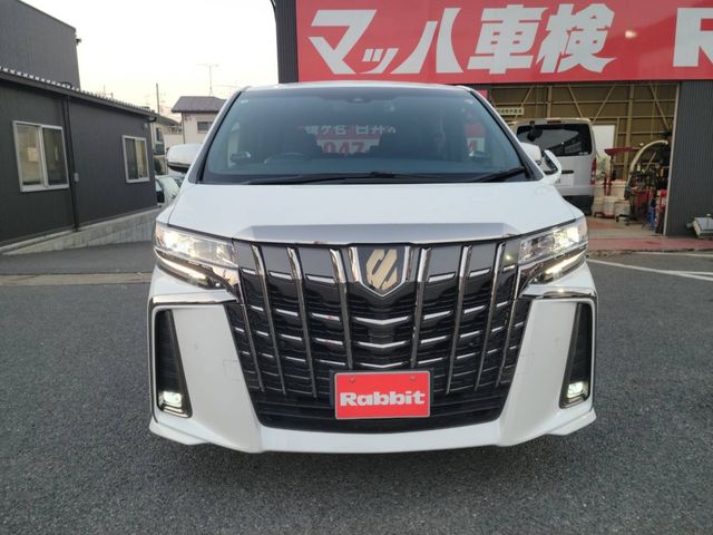 Toyota ALPHARD 2020-06 190899-28
