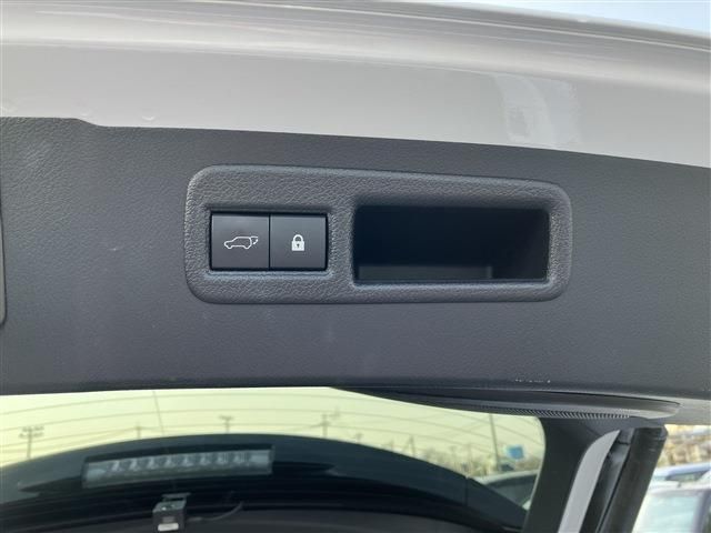 Lexus NX 2019-11 3761-15