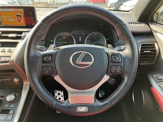 Lexus NX 2019-11 3761-19