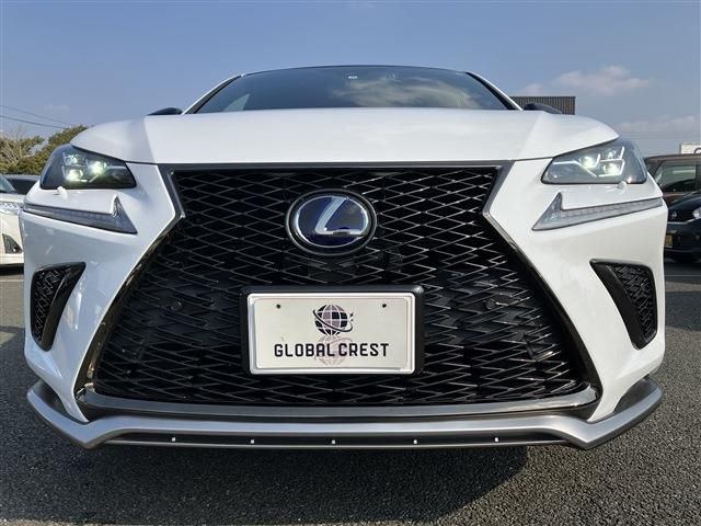 Lexus NX 2019-11 3761-4