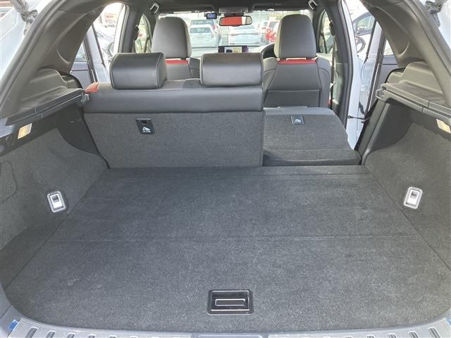 Lexus NX 2019-11 3761-13