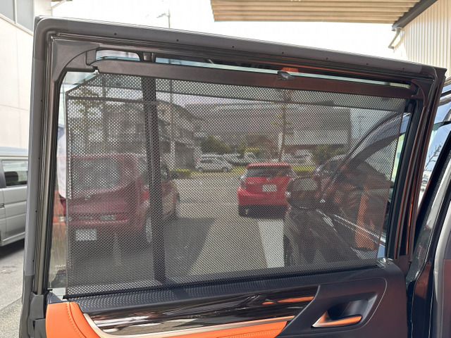 Lexus LX 2019-04 16168-16