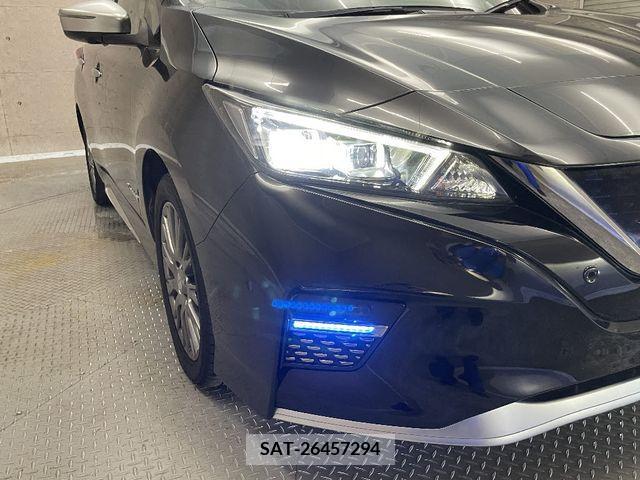 Nissan LEAF 2019-08 395442-7