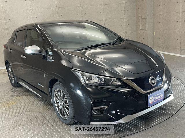 Nissan LEAF 2019-08 395442-4