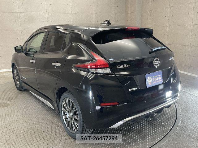 Nissan LEAF 2019-08 395442-2