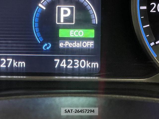 Nissan LEAF 2019-08 395442-24